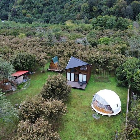 Hotel Dumbo Eco Camp Ozurget'i Exterior foto