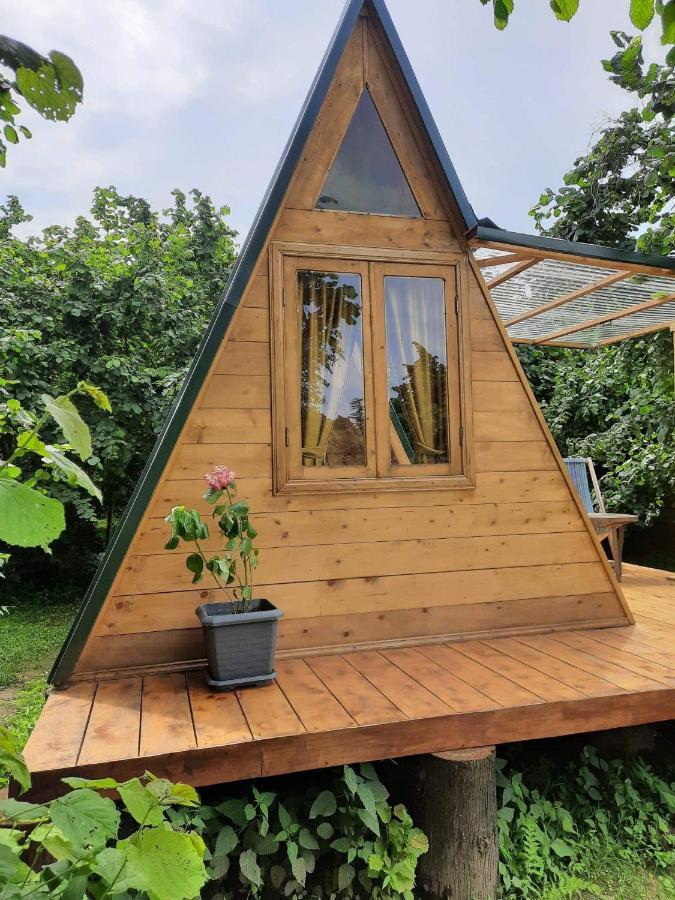 Hotel Dumbo Eco Camp Ozurget'i Exterior foto
