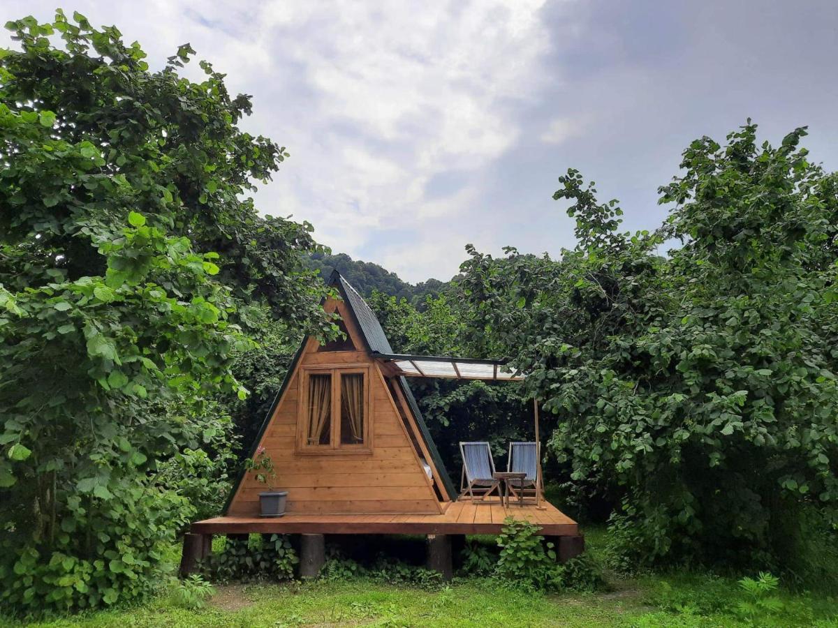 Hotel Dumbo Eco Camp Ozurget'i Exterior foto