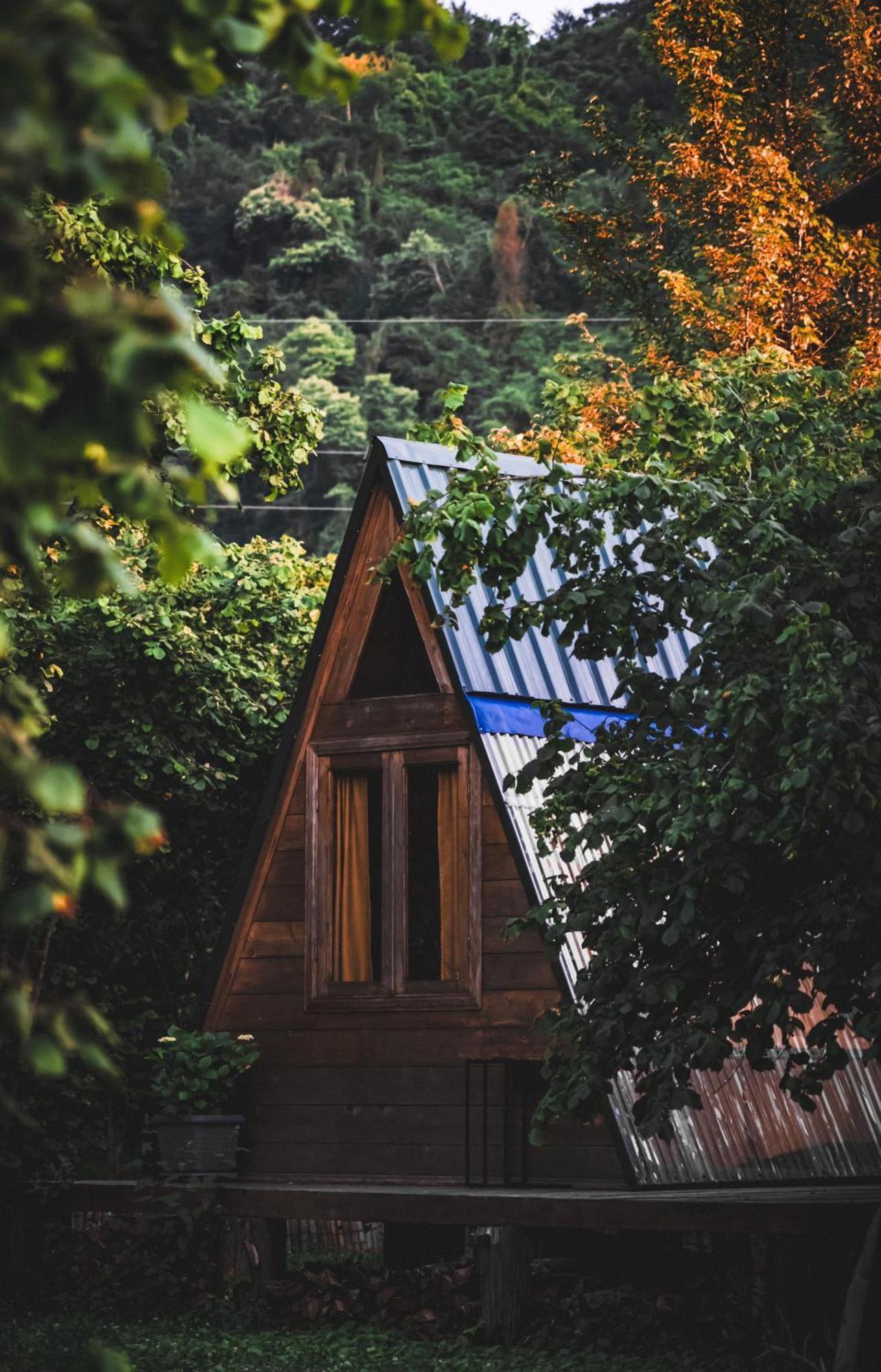 Hotel Dumbo Eco Camp Ozurget'i Exterior foto